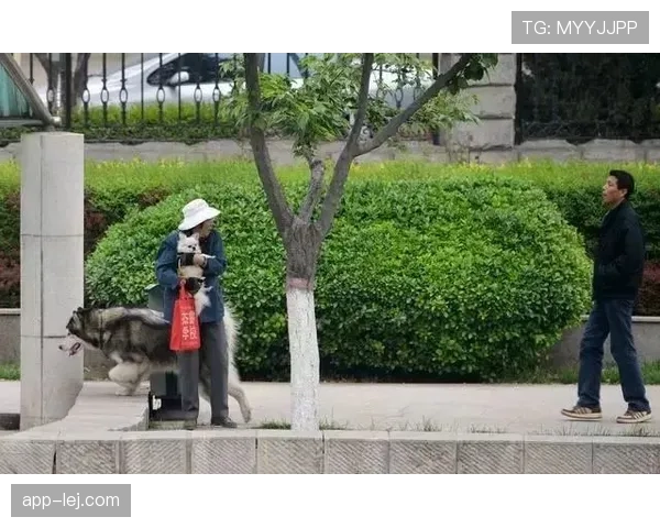 张楠退役后住进北京四合院，每天打太极遛狗，网友：这哪是运动员，分明是隐退大佬
